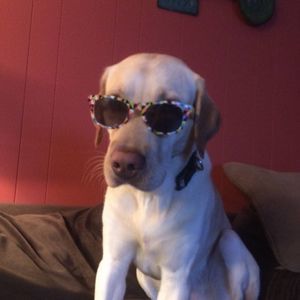 Meet your Posher, Jannie